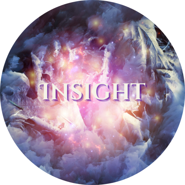 Insight Newsletter Opt In